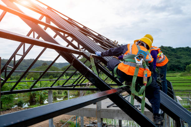 Best Roof Replacement Cost  in Warroad, MN