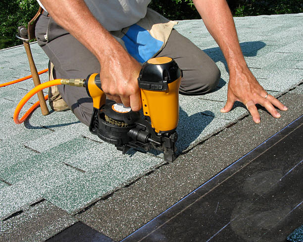 Best Storm Damage Roof Repair  in Warroad, MN