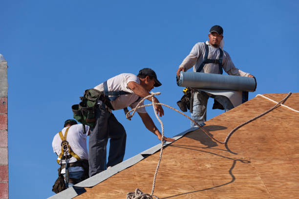 Best Commercial Roof Installation  in Warroad, MN