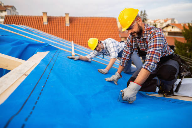 Best Storm Damage Roof Repair  in Warroad, MN
