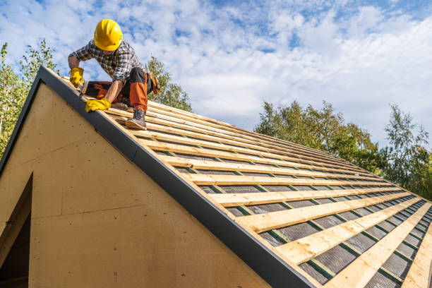 Best Roof Repair Services  in Warroad, MN
