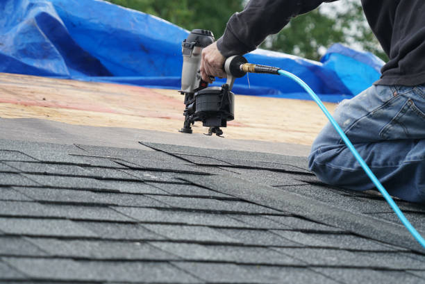 Best Commercial Roofing Services  in Warroad, MN