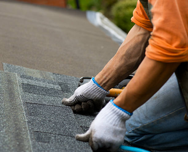 Best New Roof Installation  in Warroad, MN