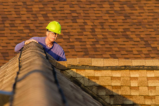 Best New Roof Installation  in Warroad, MN