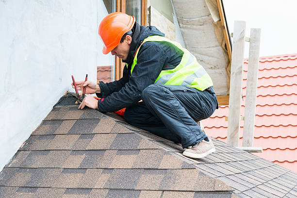 Best Best Roofing Contractors  in Warroad, MN