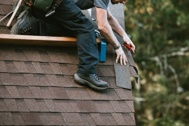 Trusted Warroad, MN Roofing Contractor Experts