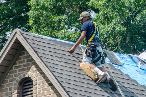 Best Residential Roof Replacement  in Warroad, MN